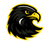 South Bohemia Falcons