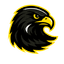 South Bohemia Falcons