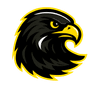 South Bohemia Falcons