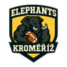 Kroměříž Elephants