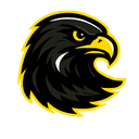 South Bohemia Falcons