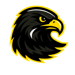 South Bohemia Falcons